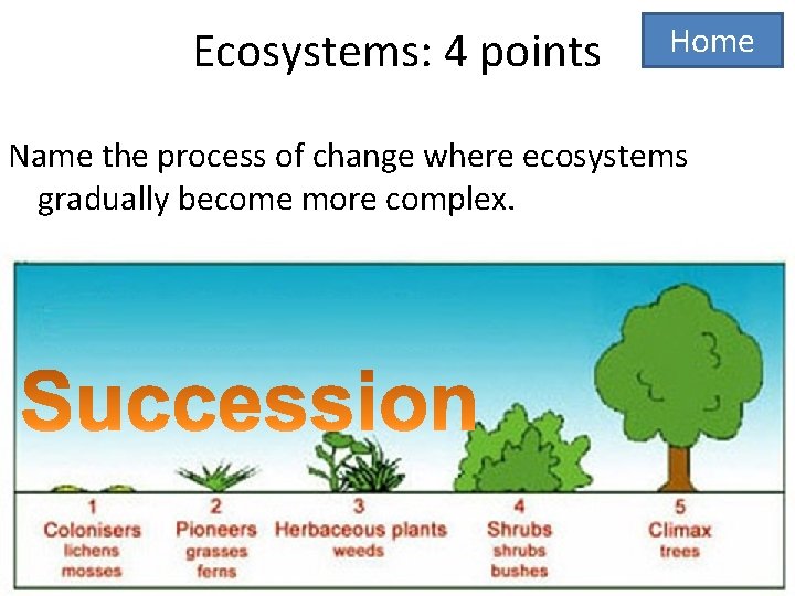 Ecosystems: 4 points Home Name the process of change where ecosystems gradually become more