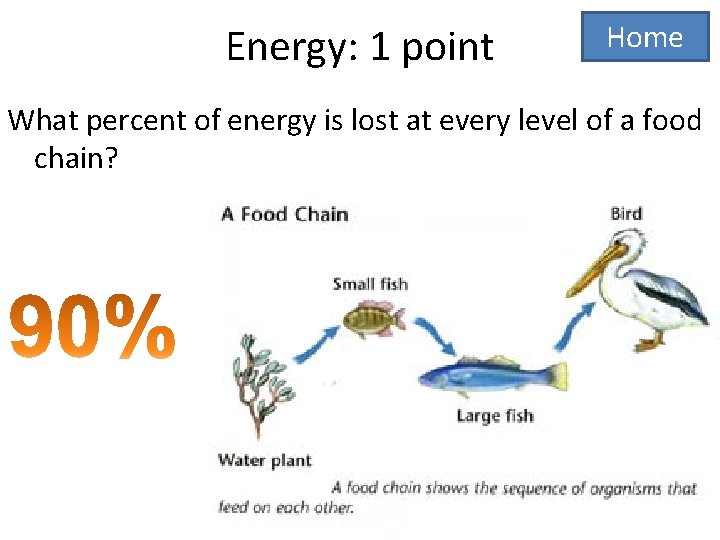 Energy: 1 point Home What percent of energy is lost at every level of