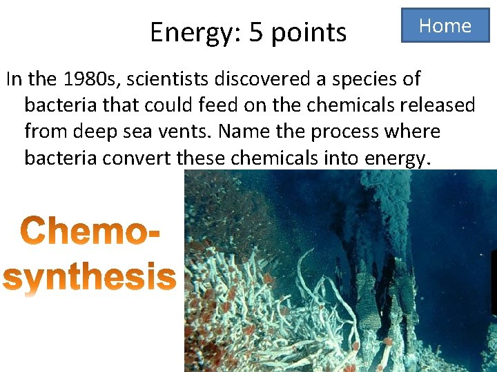 Energy: 5 points Home In the 1980 s, scientists discovered a species of bacteria