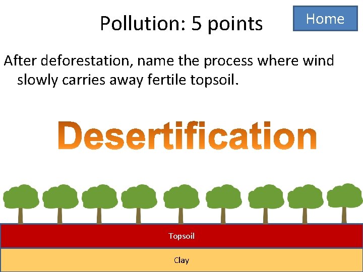 Pollution: 5 points Home After deforestation, name the process where wind slowly carries away