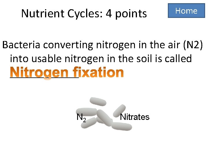 Nutrient Cycles: 4 points Home Bacteria converting nitrogen in the air (N 2) into