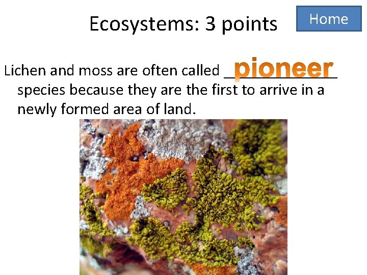 Ecosystems: 3 points Home Lichen and moss are often called _______ species because they