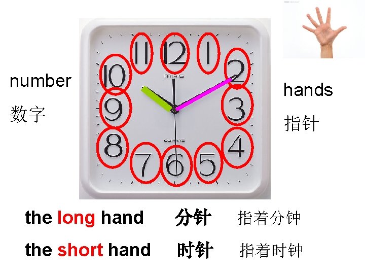 number hands 数字 指针 the long hand 分针 指着分钟 the short hand 时针 指着时钟