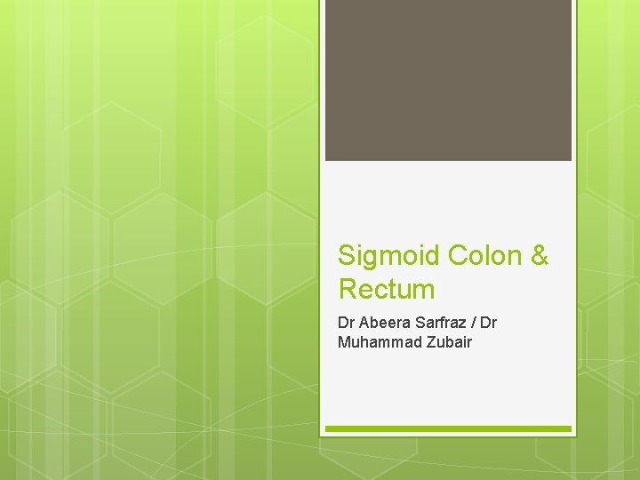 Sigmoid Colon & Rectum Dr Abeera Sarfraz / Dr Muhammad Zubair 
