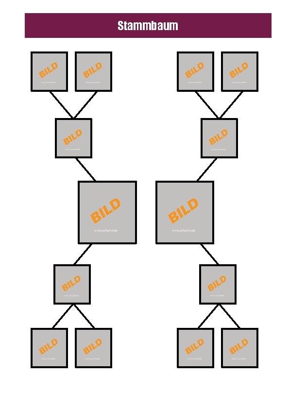 Stammbaum 