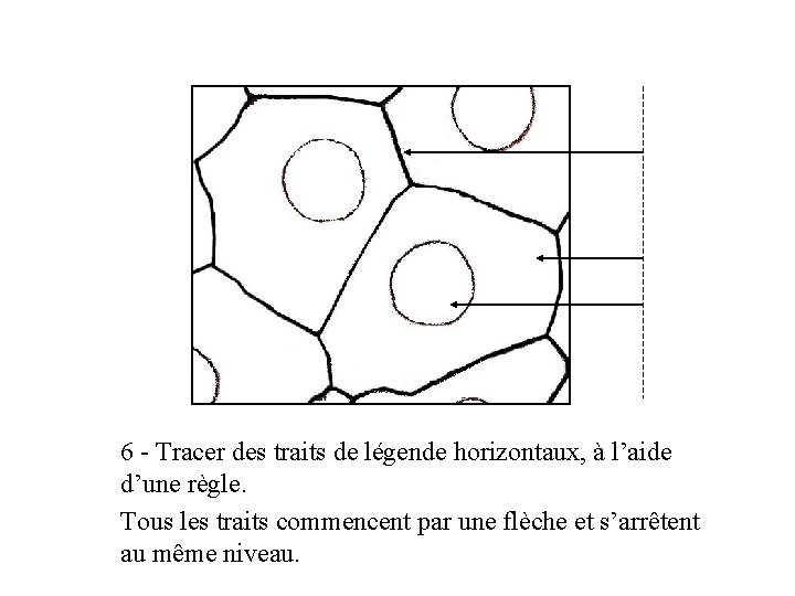 6 - Tracer des traits de légende horizontaux, à l’aide d’une règle. Tous les