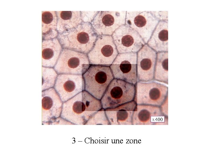 3 – Choisir une zone 