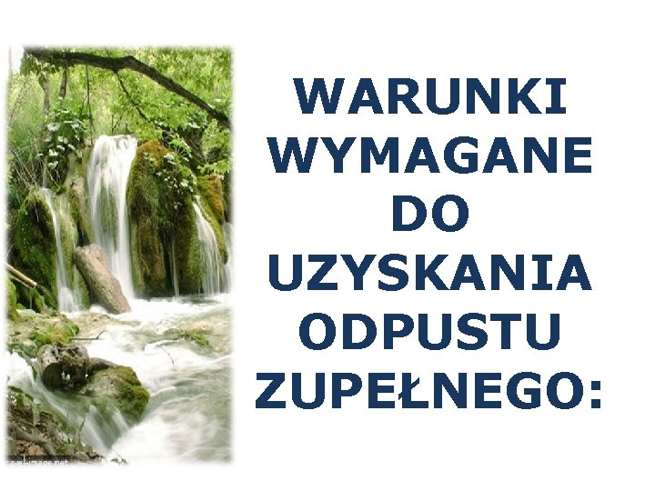 WARUNKI WYMAGANE DO UZYSKANIA ODPUSTU ZUPEŁNEGO: 