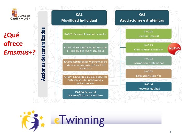 ¿Qué ofrece Erasmus+? 7 