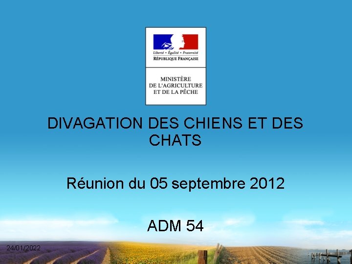 DIVAGATION DES CHIENS ET DES CHATS Réunion du 05 septembre 2012 ADM 54 24/01/2022
