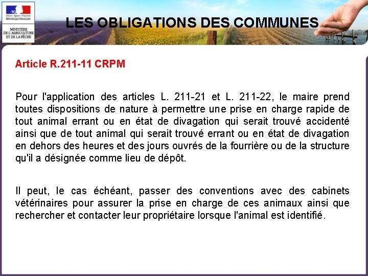 LES OBLIGATIONS DES COMMUNES Article R. 211 -11 CRPM Pour l'application des articles L.