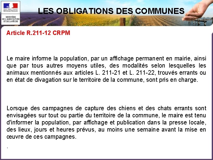 LES OBLIGATIONS DES COMMUNES Article R. 211 -12 CRPM Le maire informe la population,