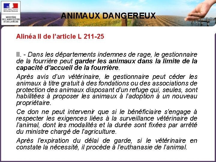 ANIMAUX DANGEREUX Alinéa II de l’article L 211 -25 II. - Dans les départements