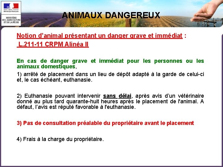 ANIMAUX DANGEREUX Notion d’animal présentant un danger grave et immédiat : L. 211 -11