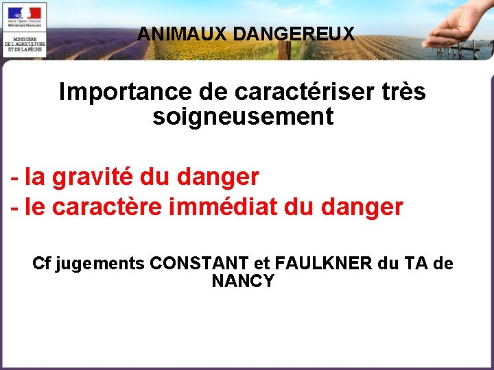 ANIMAUX DANGEREUX Importance de caractériser très soigneusement - la gravité du danger - le