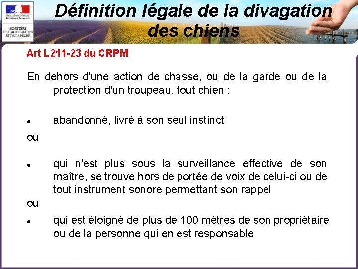 Définition légale de la divagation des chiens Art L 211 -23 du CRPM En