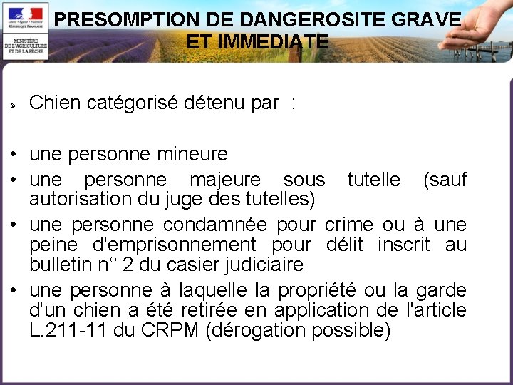 PRESOMPTION DE DANGEROSITE GRAVE ET IMMEDIATE Chien catégorisé détenu par : • une personne