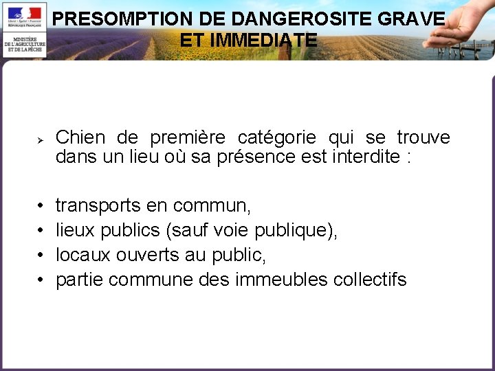 PRESOMPTION DE DANGEROSITE GRAVE ET IMMEDIATE • • Chien de première catégorie qui se