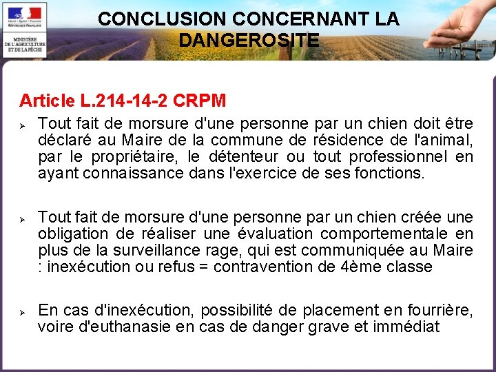 CONCLUSION CONCERNANT LA DANGEROSITE Article L. 214 -14 -2 CRPM Tout fait de morsure