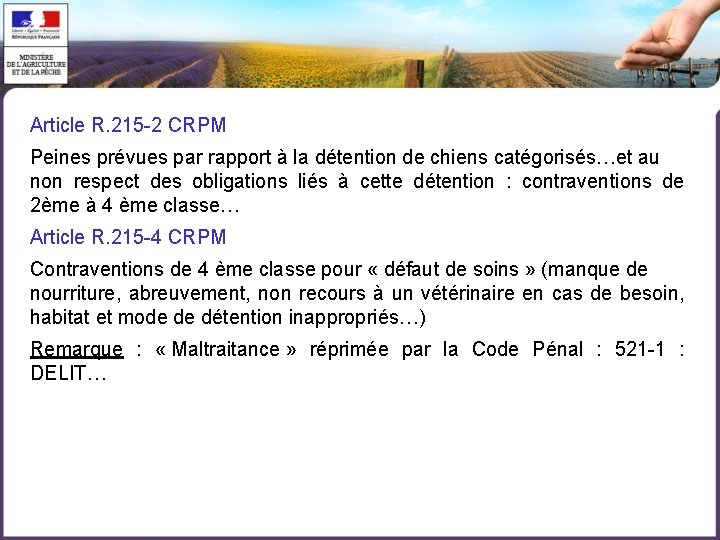 Article R. 215 -2 CRPM Peines prévues par rapport à la détention de chiens