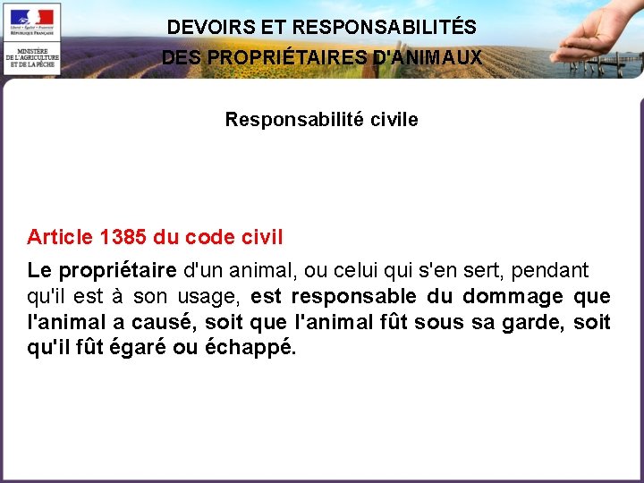 DEVOIRS ET RESPONSABILITÉS DES PROPRIÉTAIRES D'ANIMAUX Responsabilité civile Article 1385 du code civil Le