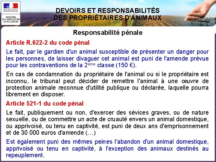DEVOIRS ET RESPONSABILITÉS DES PROPRIÉTAIRES D'ANIMAUX Responsabilité pénale Article R. 622 -2 du code