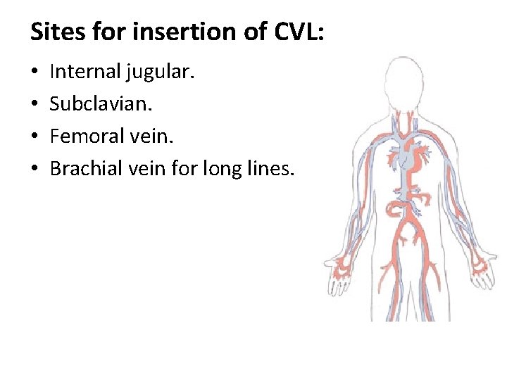 Sites for insertion of CVL: • • Internal jugular. Subclavian. Femoral vein. Brachial vein