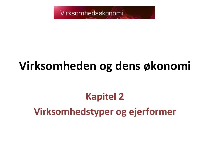 Virksomheden og dens økonomi Kapitel 2 Virksomhedstyper og ejerformer 