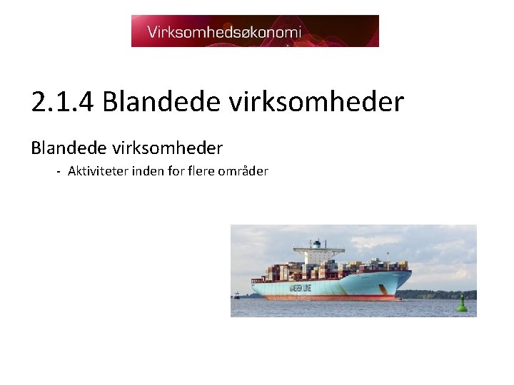 2. 1. 4 Blandede virksomheder - Aktiviteter inden for flere områder 