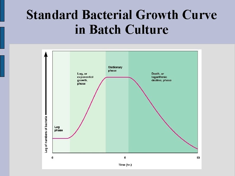 Standard Bacterial Growth Curve in Batch Culture 