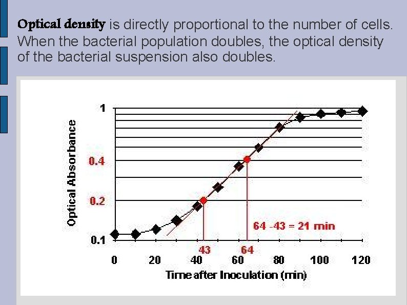 Optical density is directly proportional to the number of cells. When the bacterial population