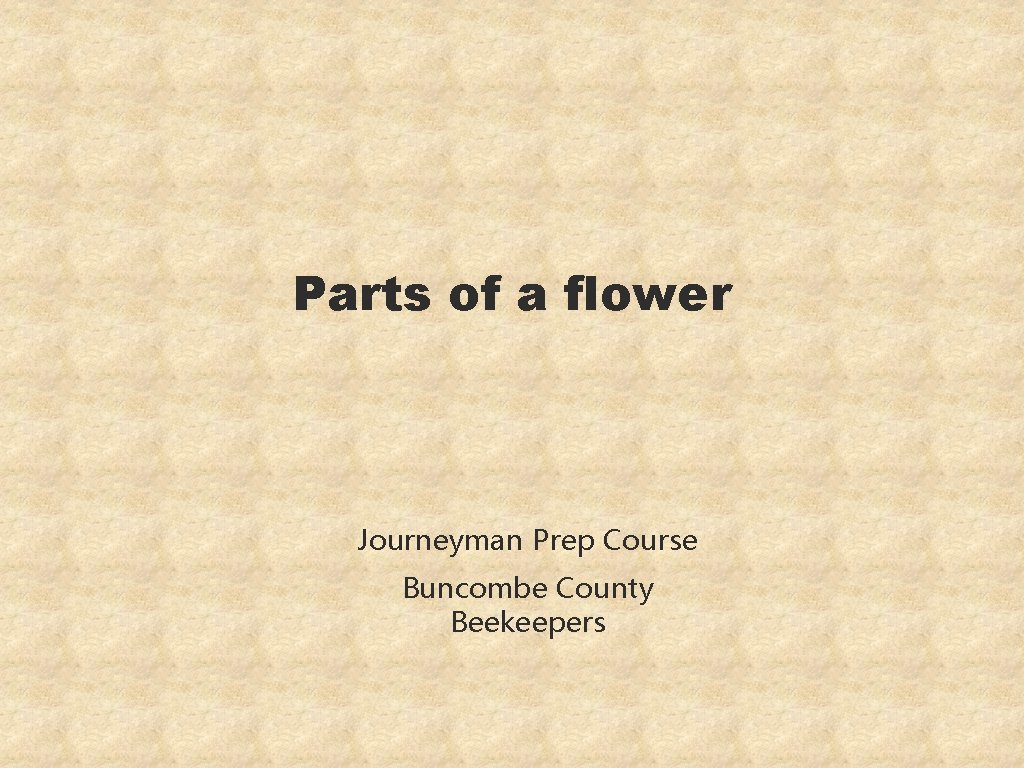 Parts of a flower Journeyman Prep Course Buncombe County Beekeepers 