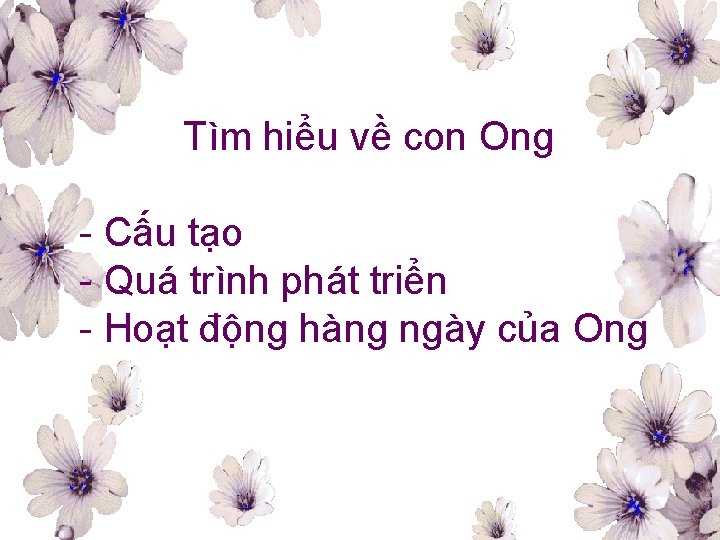 Tìm hiểu về con Ong - Cấu tạo - Quá trình phát triển -