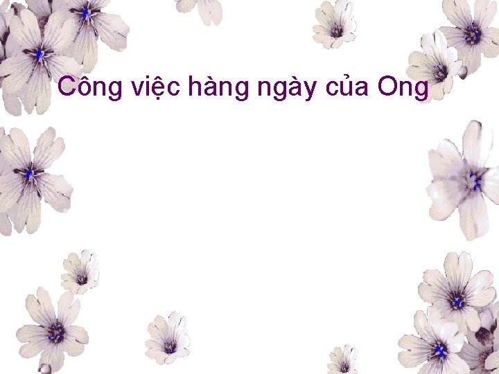 Công việc hàng ngày của Ong 