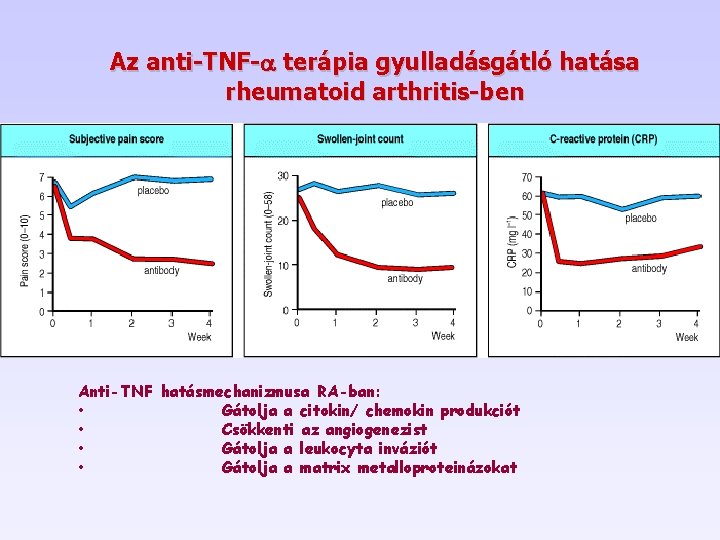 Az anti-TNF- terápia gyulladásgátló hatása rheumatoid arthritis-ben Anti-TNF hatásmechanizmusa RA-ban: • Gátolja a citokin/