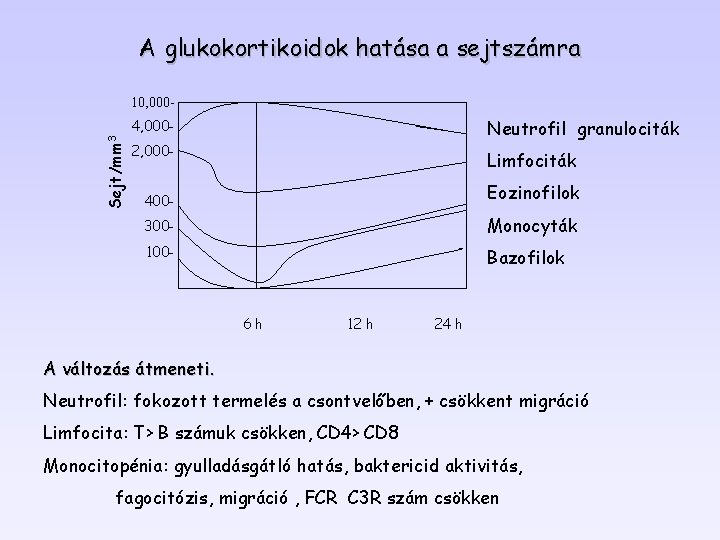 A glukokortikoidok hatása a sejtszámra Sejt/mm 3 10, 0004, 000 - Neutrofil granulociták 2,