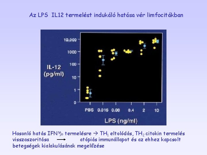 Az LPS IL 12 termelést indukáló hatása vér limfocitákban Hasonló hatás IFNg termelésre TH