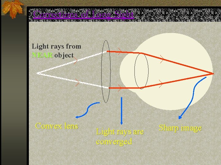Left Close Rays What is the function of this chart What