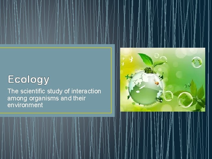 Ecology The scientific study of interaction among organisms