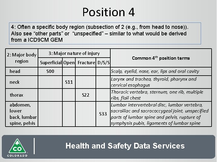 Position 4 4: Often a specific body region (subsection of 2 (e. g. ,