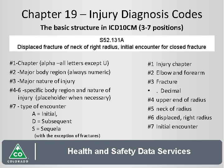 Chapter 19 – Injury Diagnosis Codes The basic structure in ICD 10 CM (3