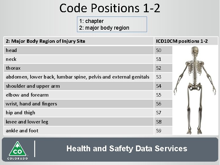 Code Positions 1 -2 1: chapter 2: major body region 2: Major Body Region