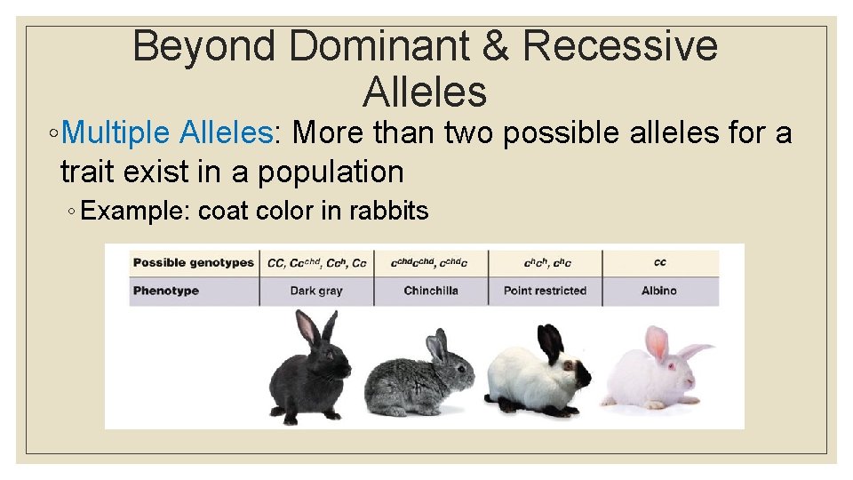 Beyond Dominant & Recessive Alleles ◦ Multiple Alleles: More than two possible alleles for