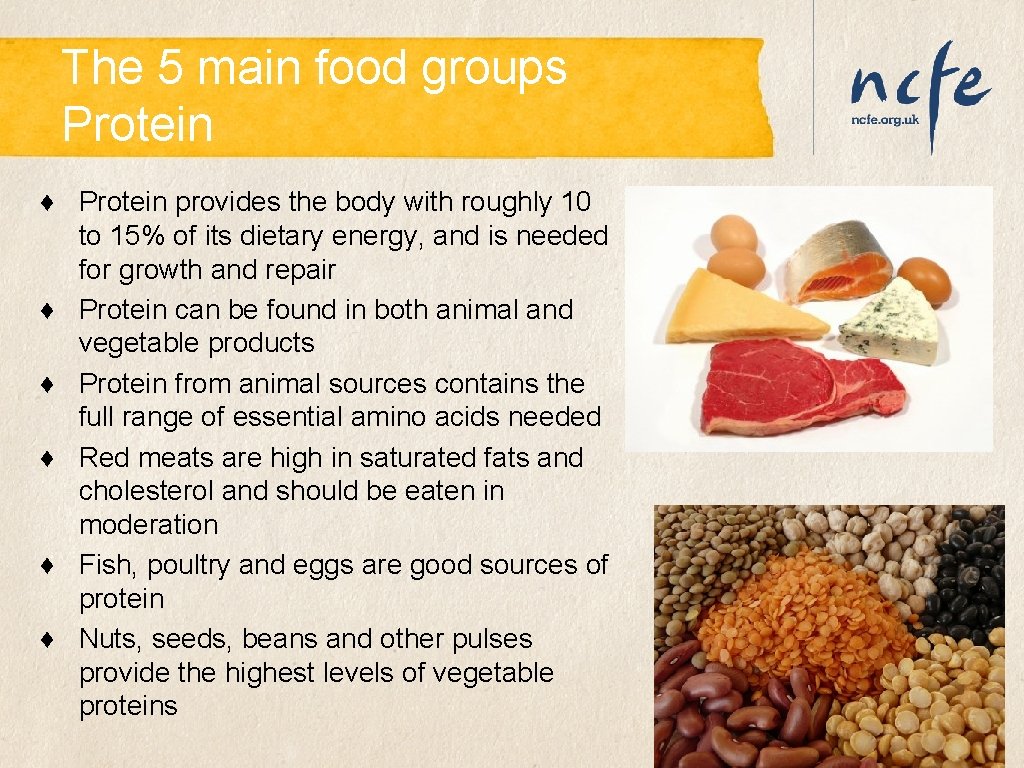 The 5 main food groups Protein ♦ Protein provides the body with roughly 10 The 5 main food groups Protein ♦ Protein provides the body with roughly 10
