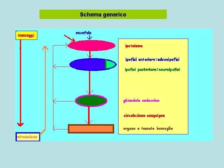 Schema generico 