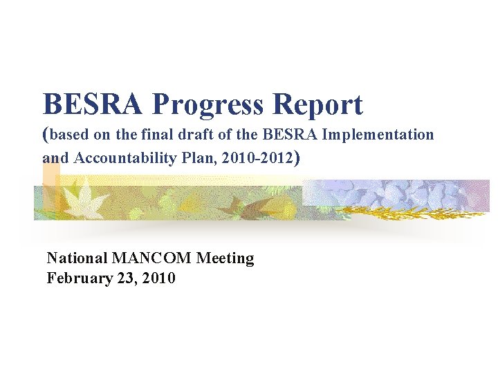 BESRA Progress Report (based on the final draft of the BESRA Implementation and Accountability