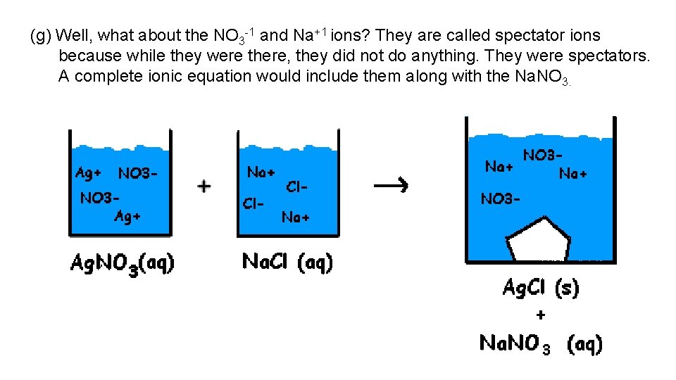 (g) Well, what about the NO 3 -1 and Na+1 ions? They are called