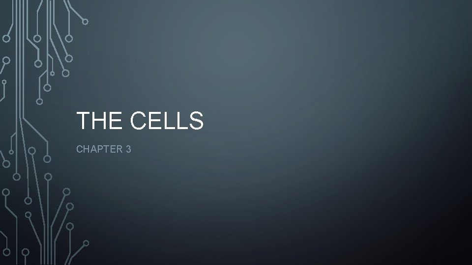 THE CELLS CHAPTER 3 