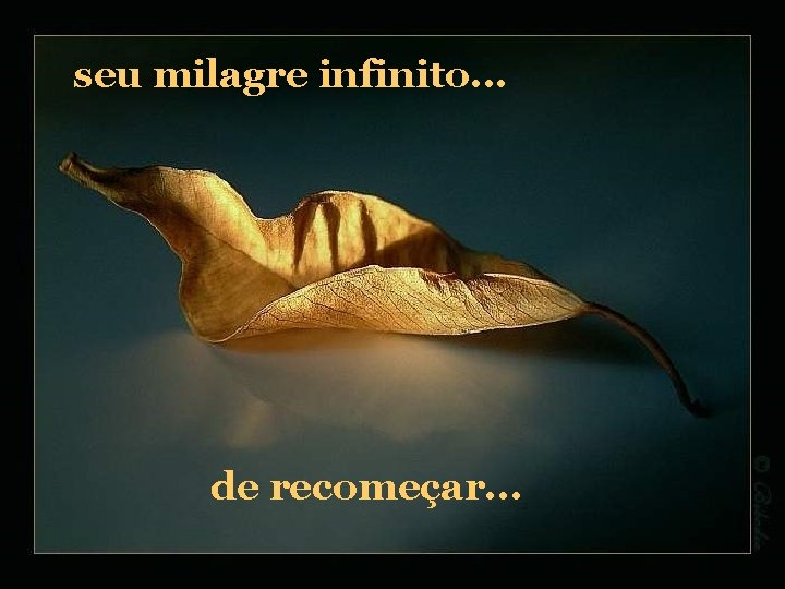 seu milagre infinito. . . de recomeçar. . . 