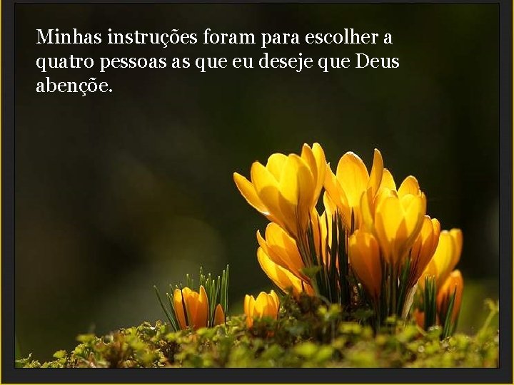 Minhas instruções foram para escolher a quatro pessoas as que eu deseje que Deus